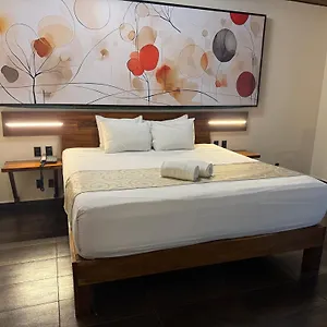 4* Отель Kavia 5th Avenida (adults Only)